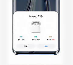 Xiaomi Haylou T19