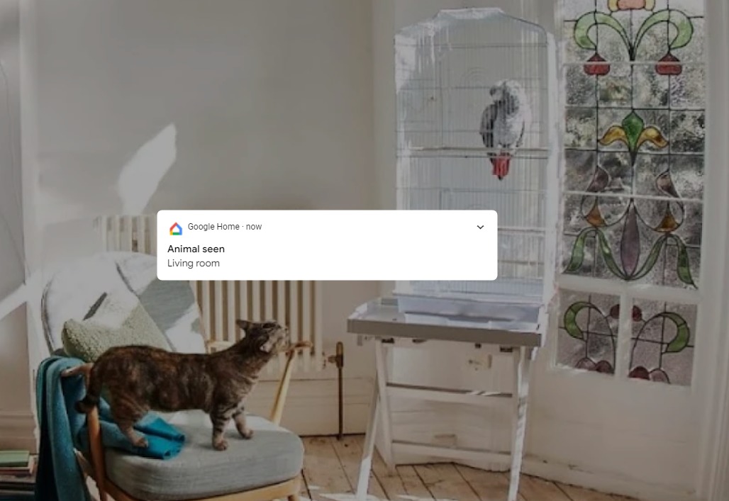 Google Nest Cam indoor